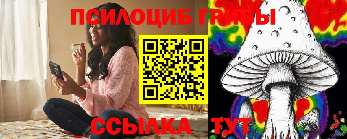 Псилоцибиновые грибы GOLDEN TEACHER Глазов